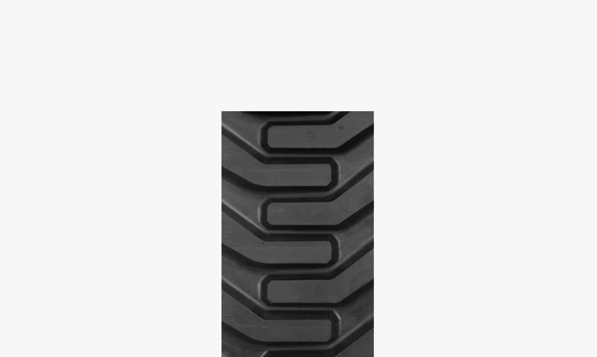 BSGL2